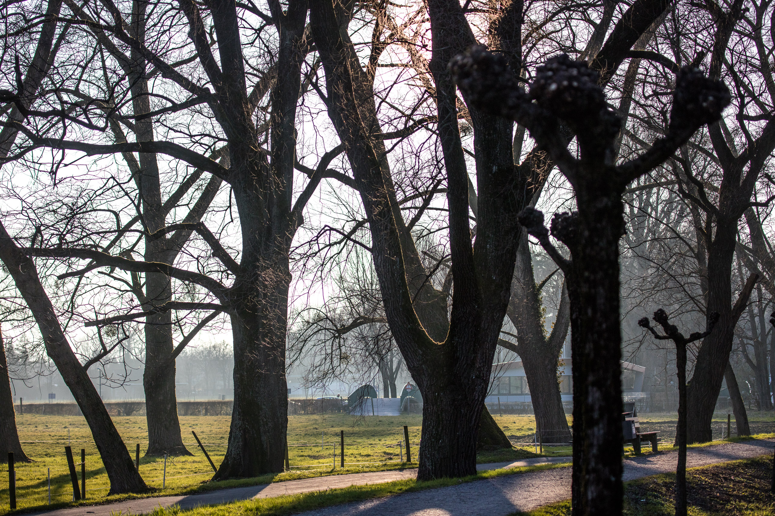 20160319173550 DP017812